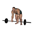 Barbell Row - Bent Over